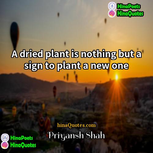 Priyansh Shah Quotes | A dried plant is nothing but a